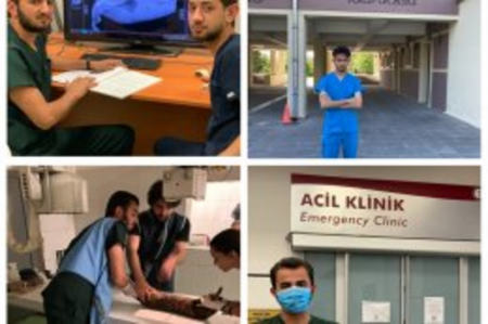 Группа студентов ADAU проходит стажировку в ветеринарной клинике Университета Анкары